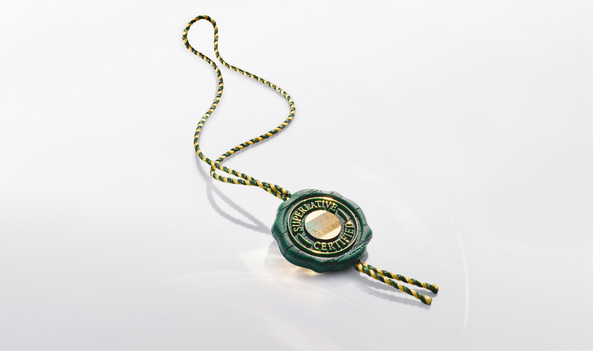 rolex new watches 2026 the oyster perpetual 41 superlative chronometer m134303 0001 landscape