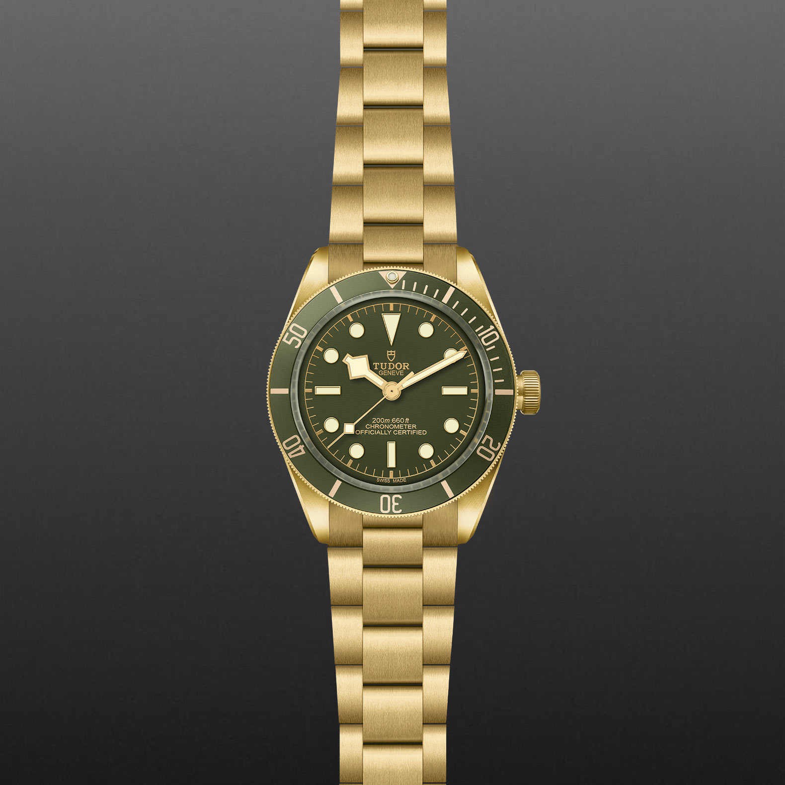 M79018V 0006 grey aperto