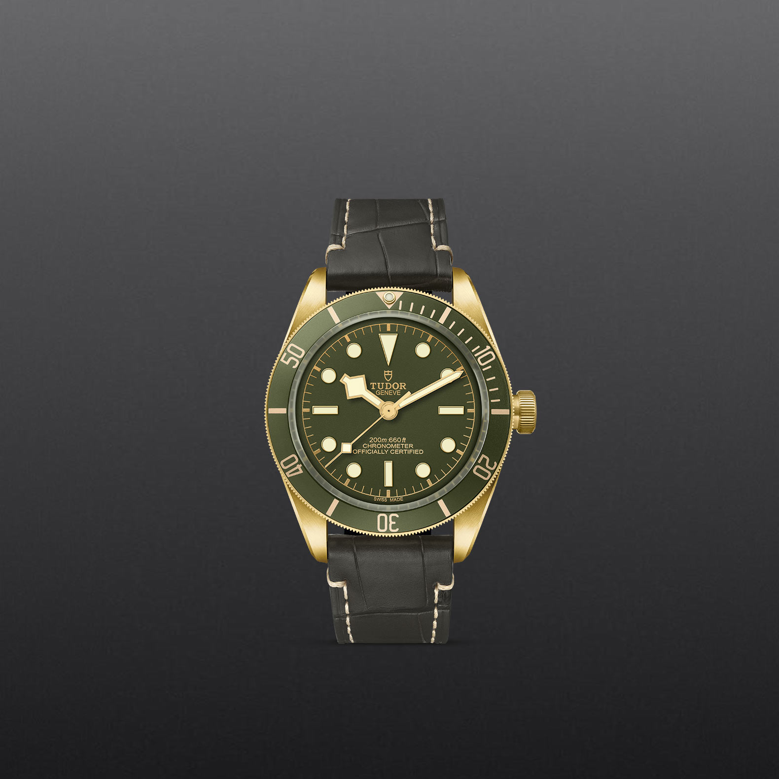 M79018V 0001 grey chiuso