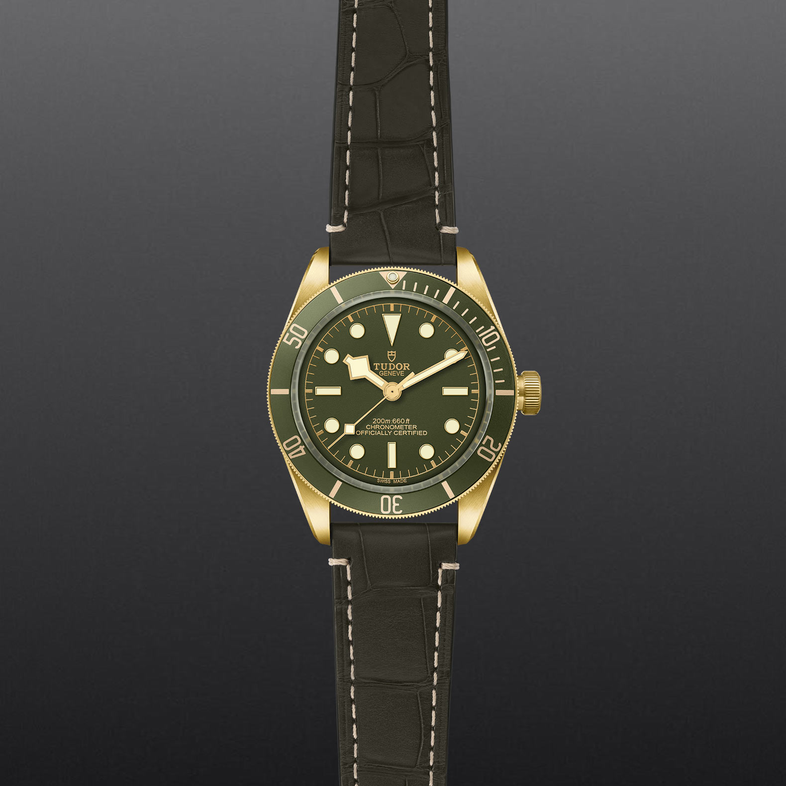 M79018V 0001 grey aperto