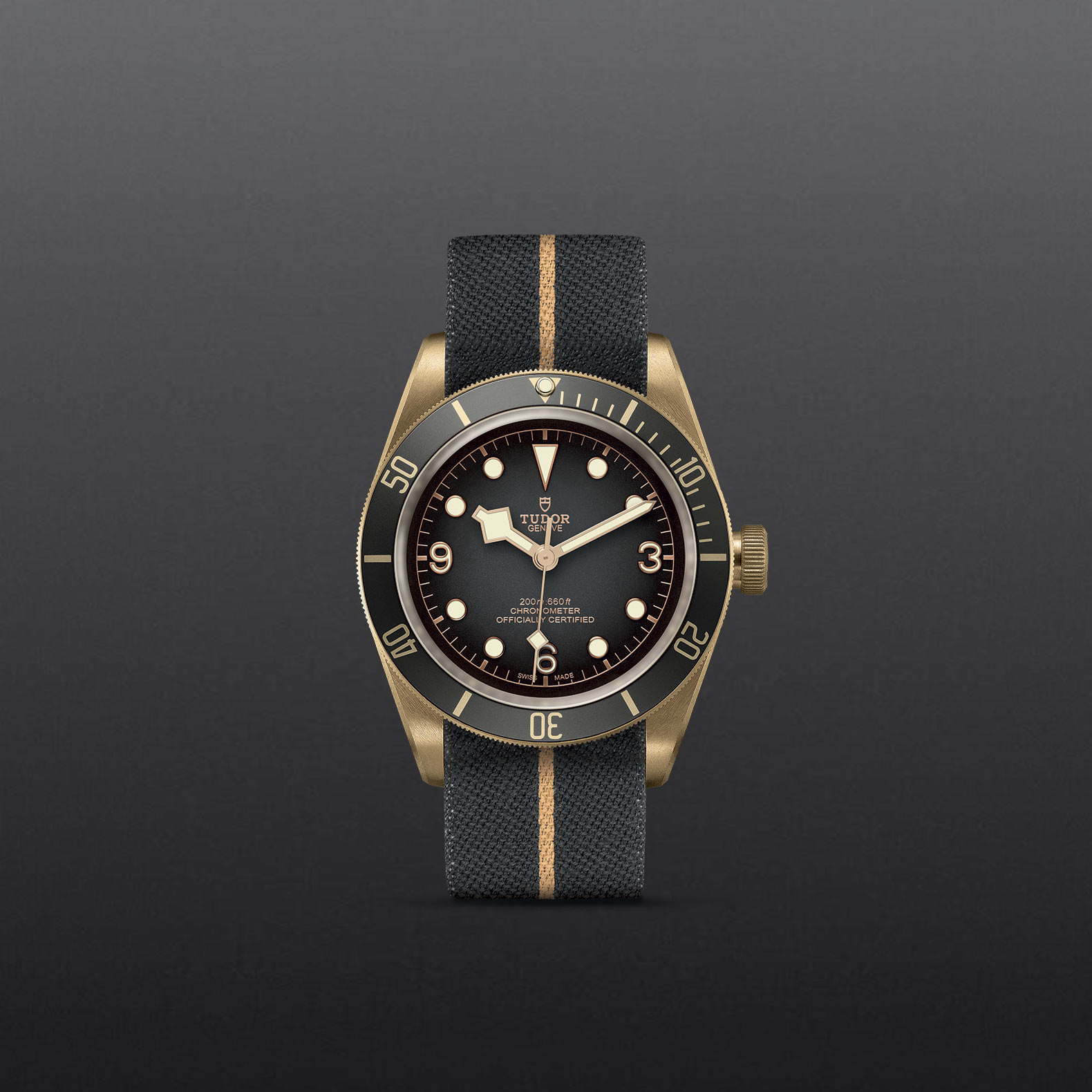 M79250BA 0002 grey chiuso