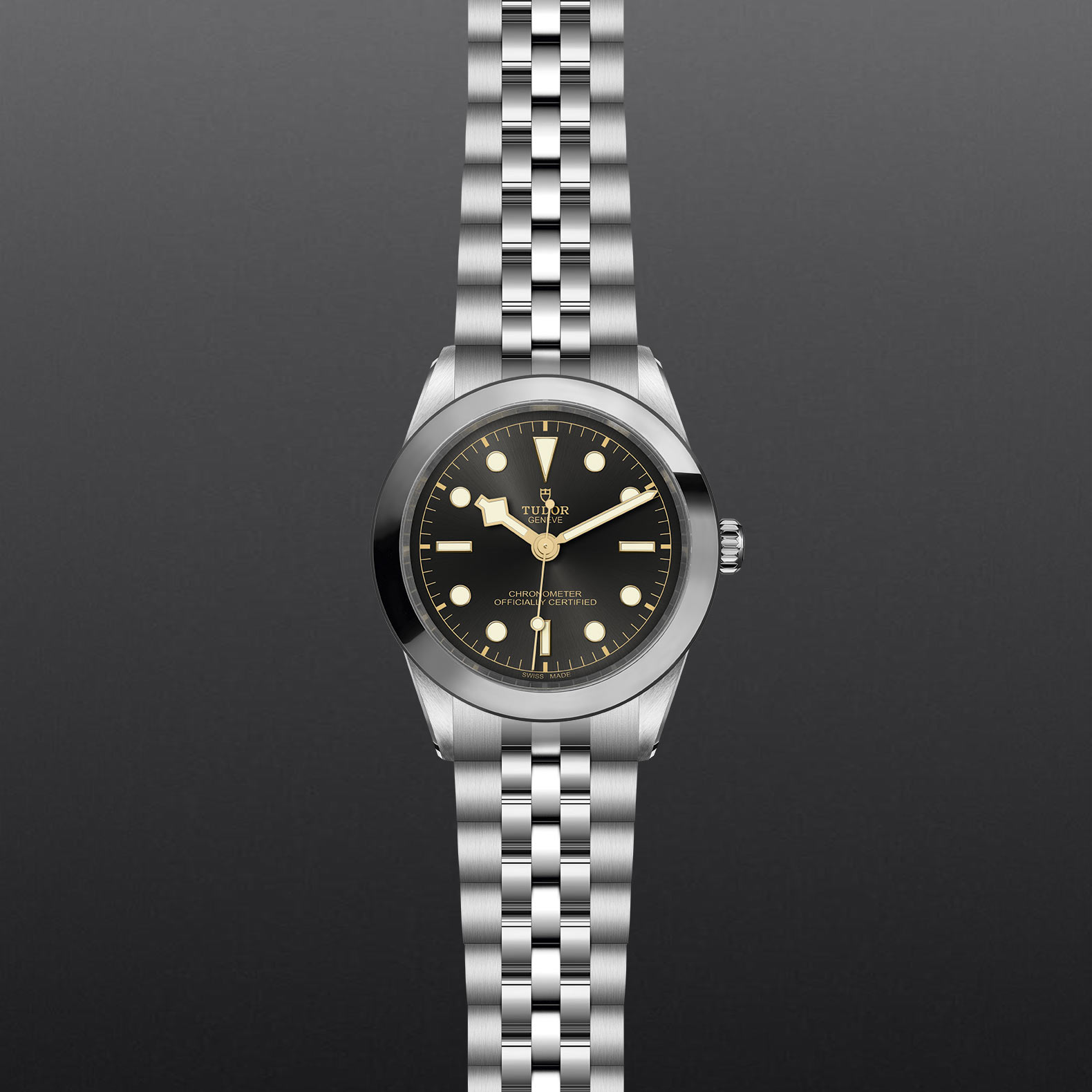 M79660 0001 grey aperto