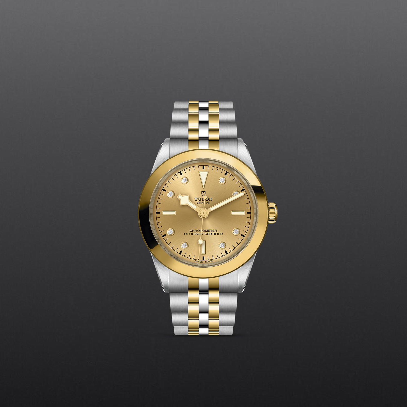M79663 0008 grey chiuso