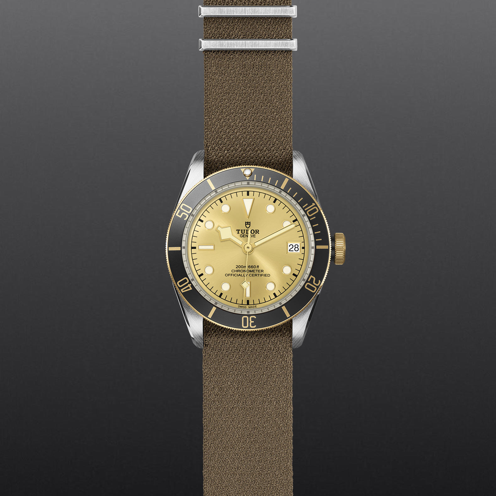 M79733N 0006 grey aperto