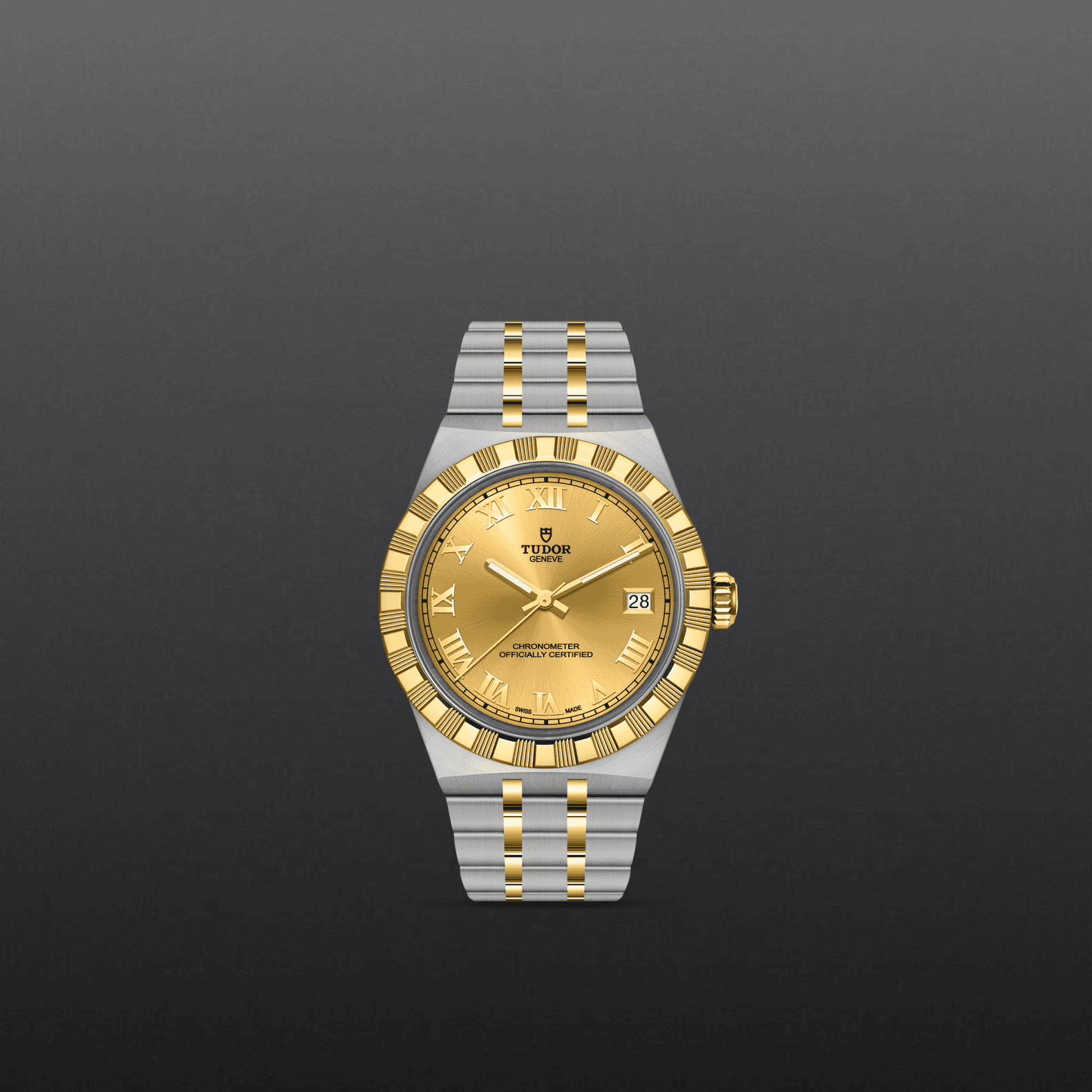 tudor m2836c1a3 0002 (1)