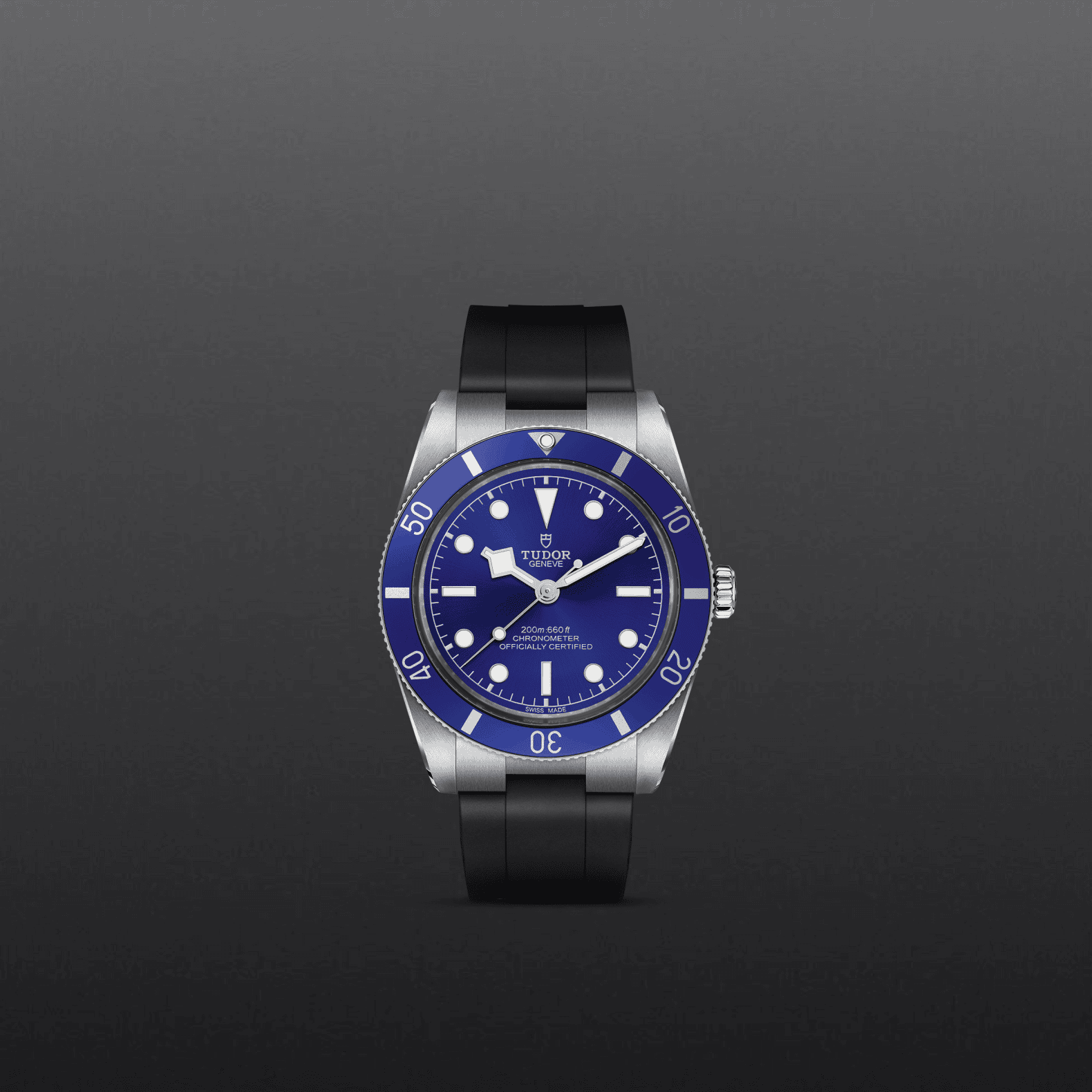 tudor m79000b 0002 (1)