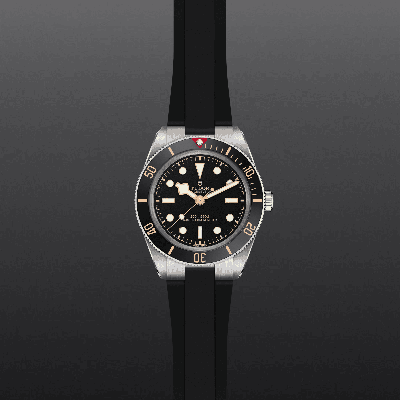 tudor m7939a1a0nu 0003 (2)